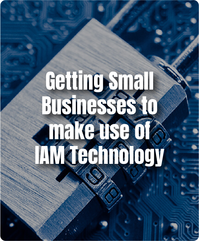 https://dev.avancercorp.com/wp-content/uploads/2024/06/Getting-Small-Businesses-to-make-use-of-IAM-Technology.jpg