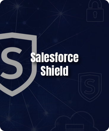 https://dev.avancercorp.com/wp-content/uploads/2024/07/Salesforce-Shield.png